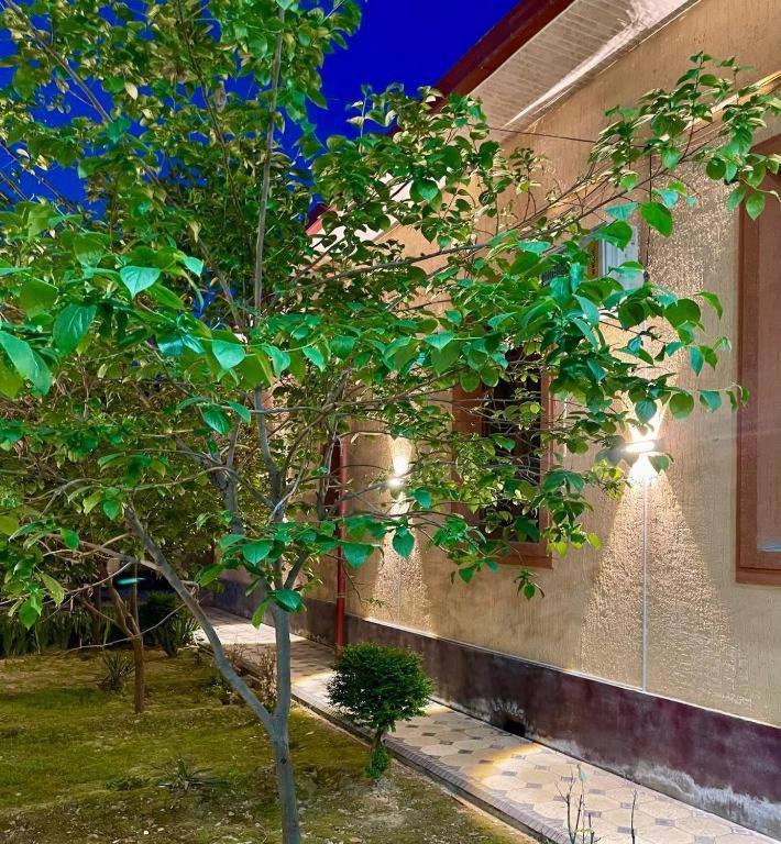 Amor Fati Otel Taşkent Dış mekan fotoğraf
